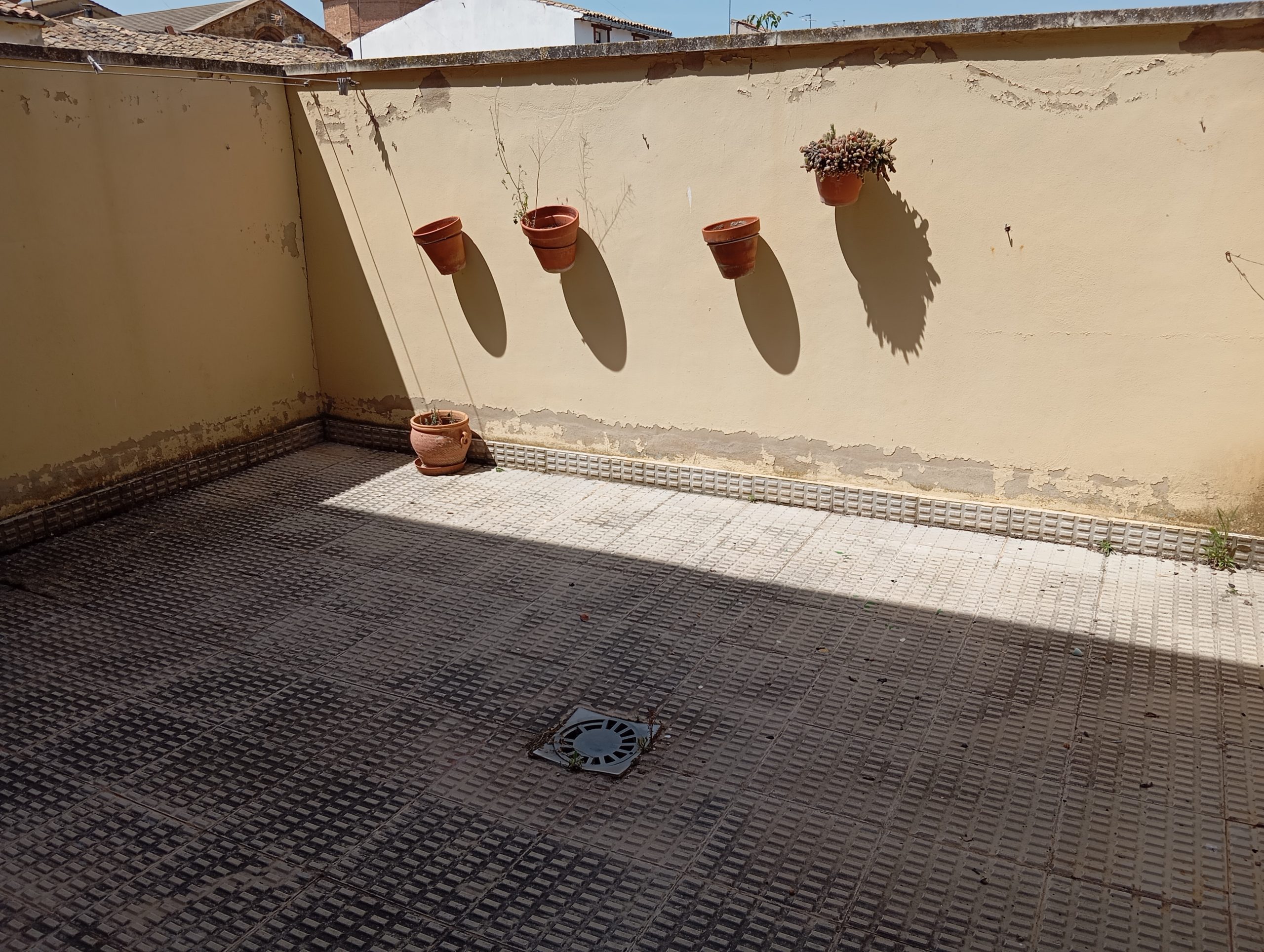 Imagen 5